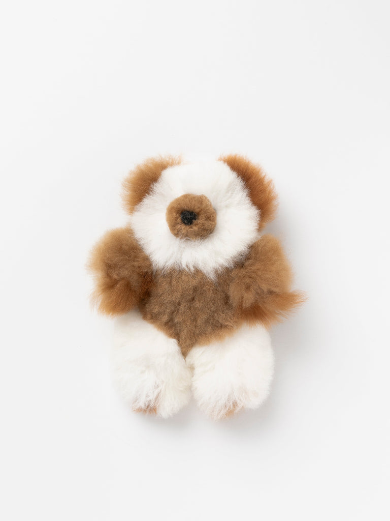 Multi-colored luxury teddy bear
