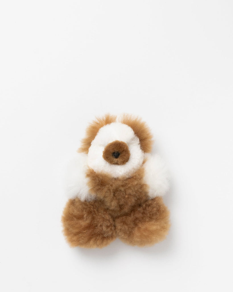 Multi-colored teddy bear
