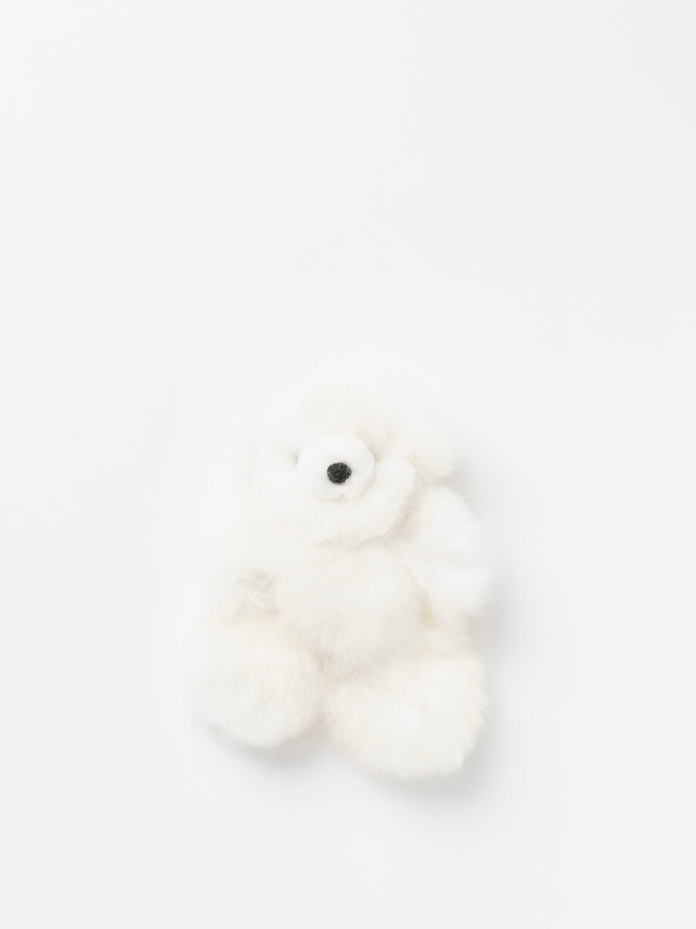 White teddy bear