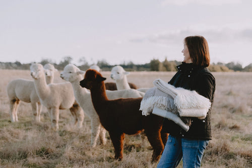 A woman is standing in a paddock holding a collection of different alpaca throws, with a herd of alpacas standing behind her