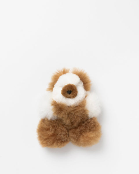 Multi-colored teddy bear