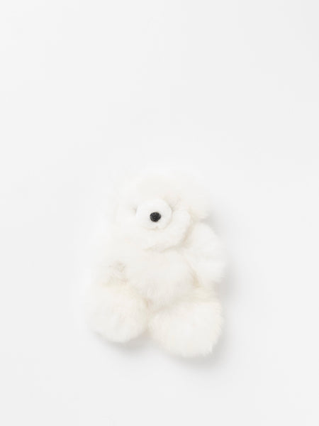 White teddy bear