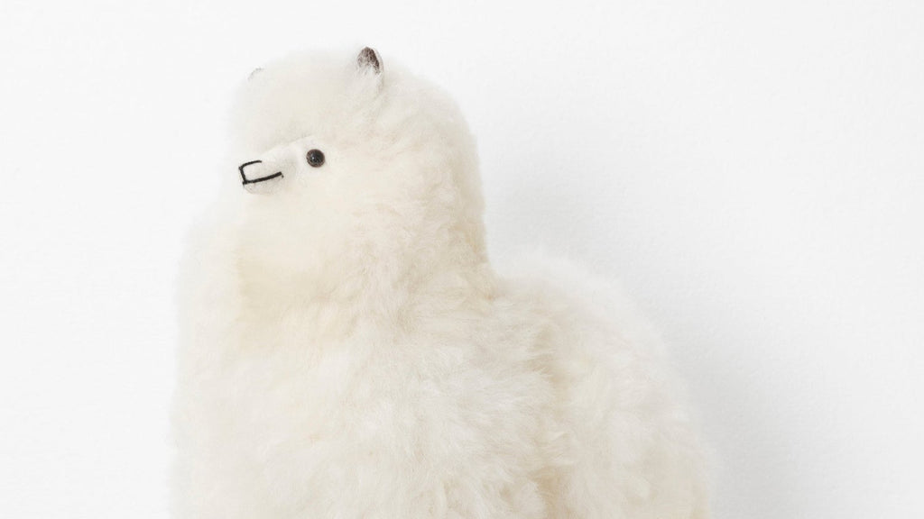 Cream colored Toy Alpaca